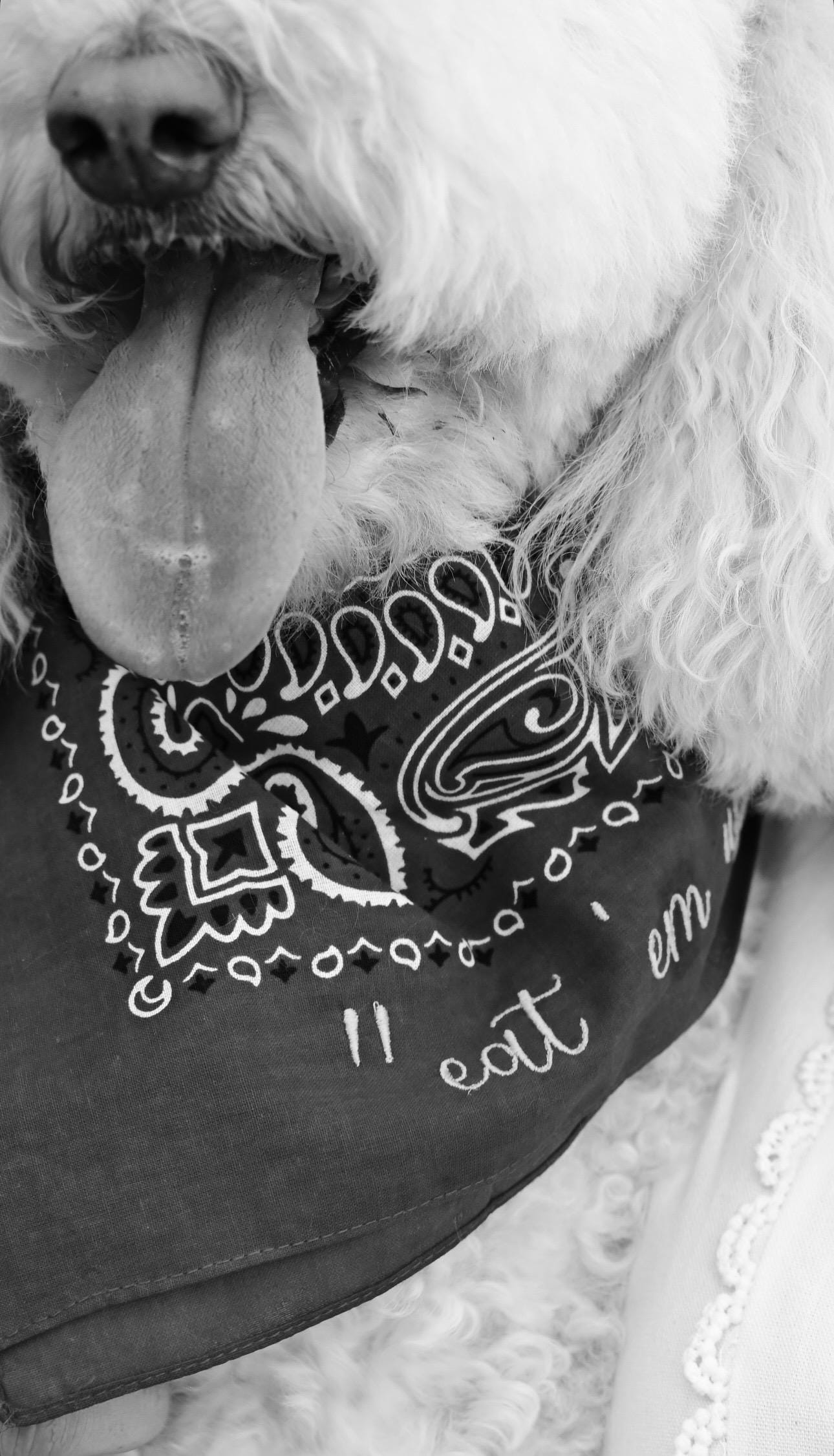 PERSONALIZED Embroidered Western Bandana, custom handkerchief, bridal party, western wear, rodeo, cowgirl, monogram, wedding, Bachelorette