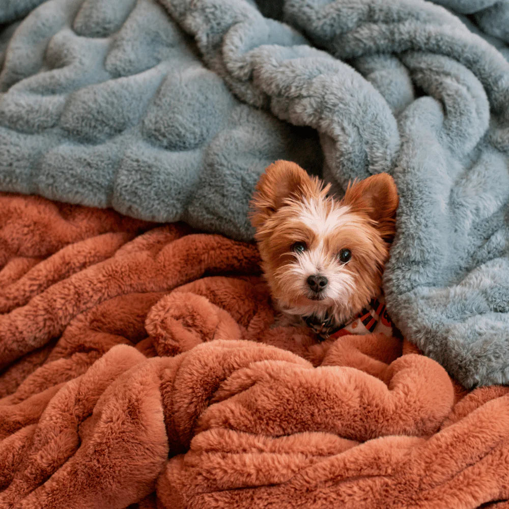 Copper Chic Minky Blanket